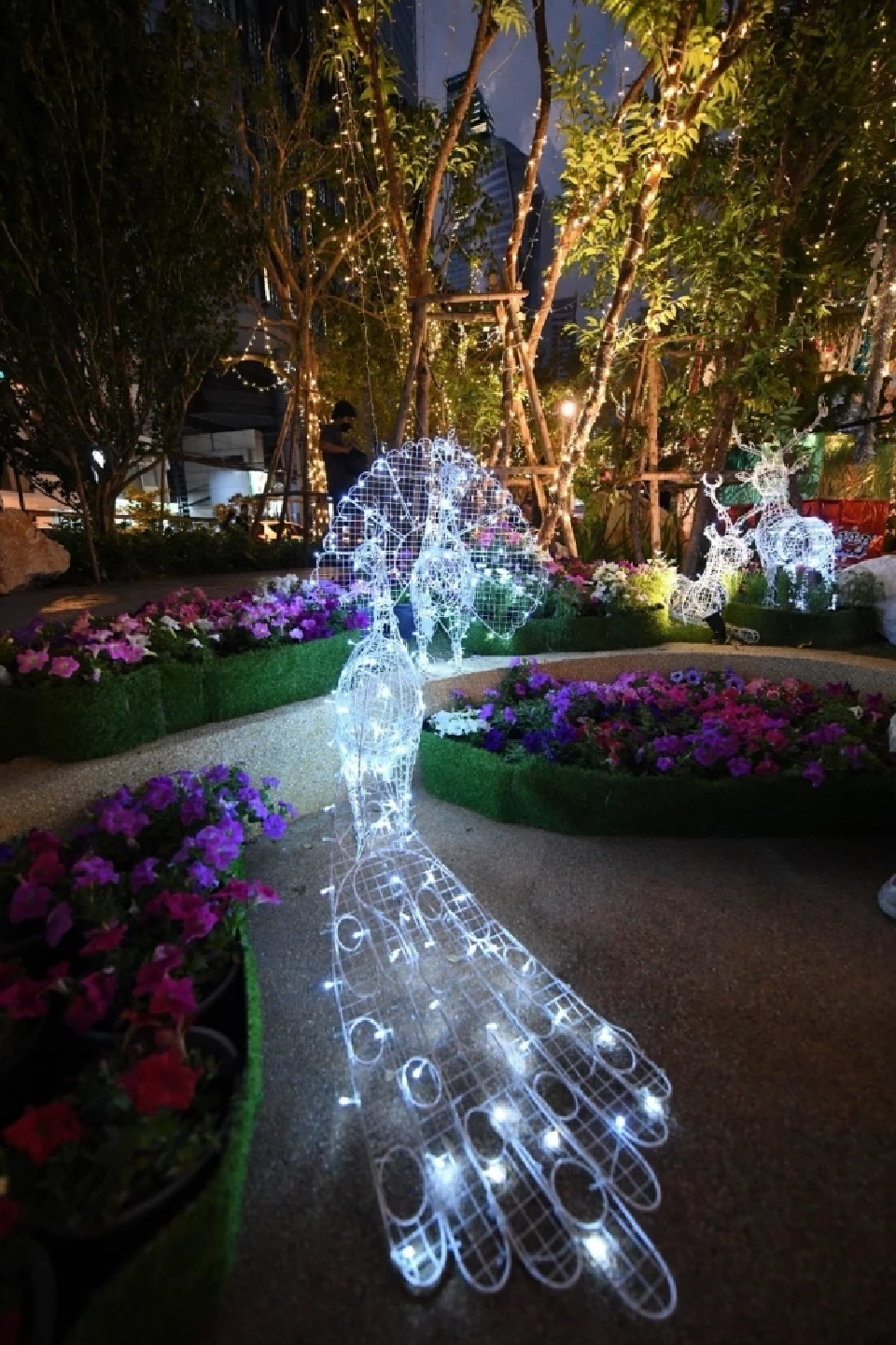 คริสต์มาส-ปีใหม่นี้ กทม.ชวนเช็คอินที่"คลองช่องนนทรี"