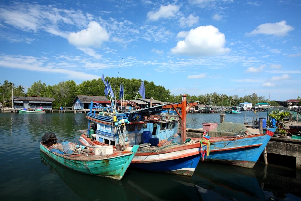 “เฉลิมชัย”สั่งเร่งหาตลาดช่วยประมงพื้นบ้านกระจายผลผลิต คิกออฟ 17 ธ.ค. นี้