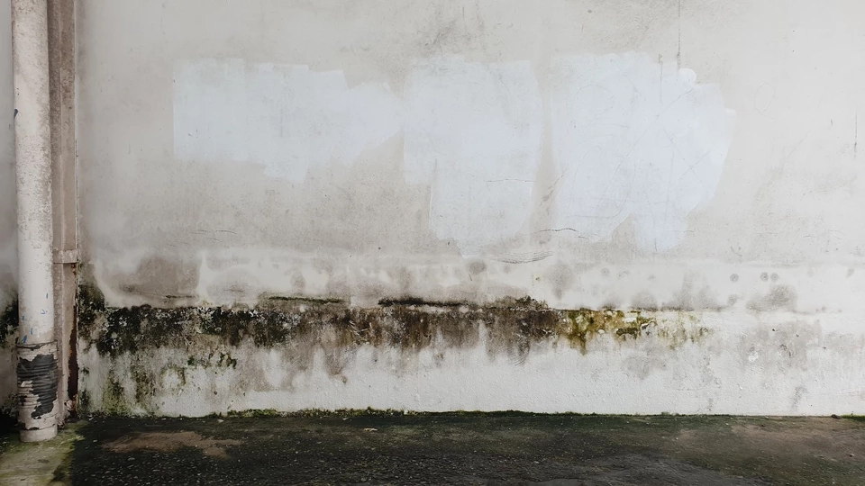 บ้านเก่าอายุมากกว่า 15 ปี ควรตรวจอะไรบ้าง?