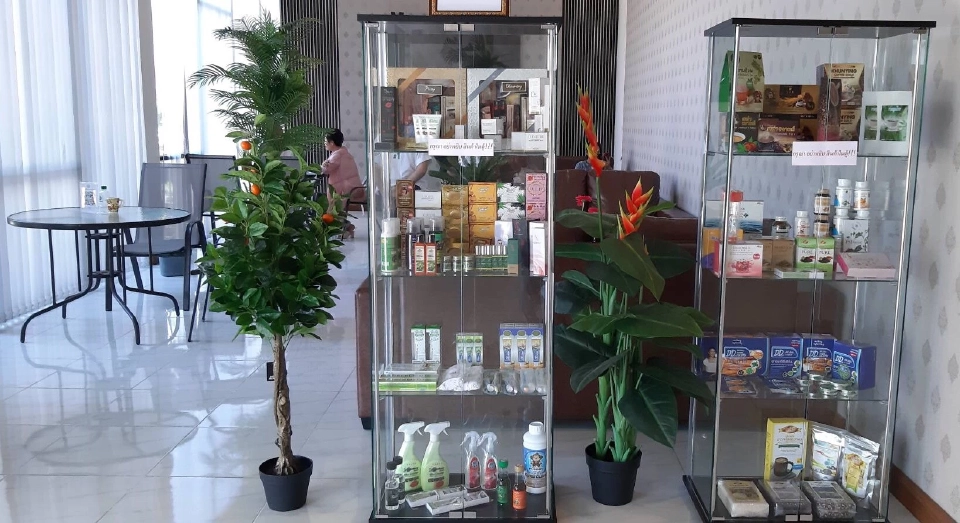 สายพันธุ์ไทยเก่งระดับโลก"SMART PLUS+"สารพัดนึกแอปฯเดียวเอาอยู่ 