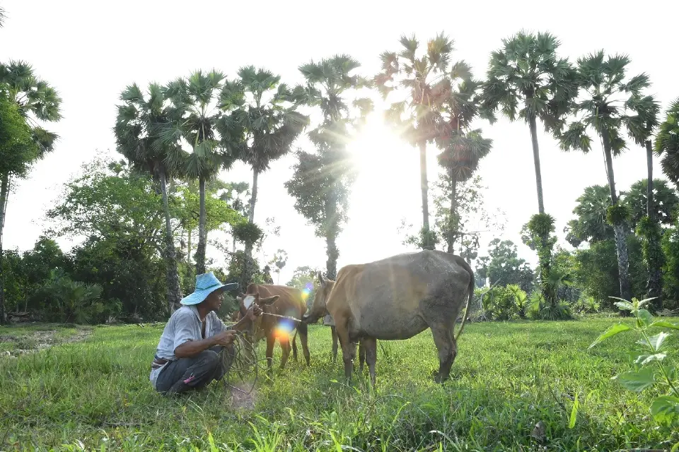 มูลนิธิเจริญโภคภัณฑ์พัฒนาชีวิตชนบท