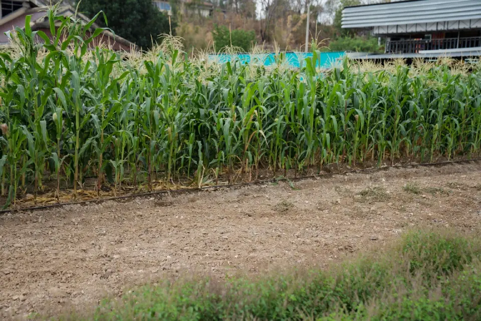 “ฮิโนต้า”สั่งลุยรถไถพรวนดิน 4G-5G เล็งเป้าปีนี้ 100 ล้าน