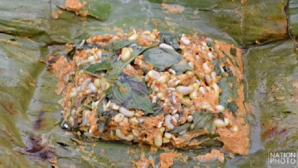 ไข่มดแดงหมก (ขอบคุณภาพจาก Nation Photo) 