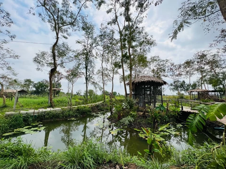 Mini Zoo สวนสัตว์ขนาดเล็ก ธัญบุรี  เปิดให้ชมฟรีแล้วพรุ่งนี้ !