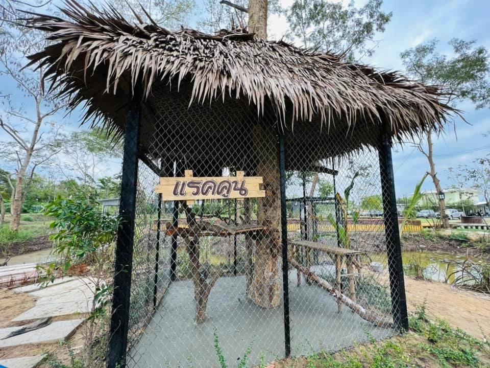 Mini Zoo สวนสัตว์ขนาดเล็ก ธัญบุรี  เปิดให้ชมฟรีแล้วพรุ่งนี้ !