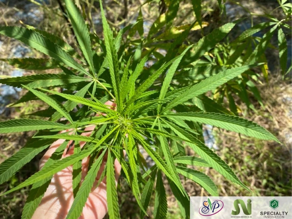 SNI เติบโต ยั่งยืน ผ่านระบบ Partnership Farming ดัน “แทนคุณไทยฟาร์ม”