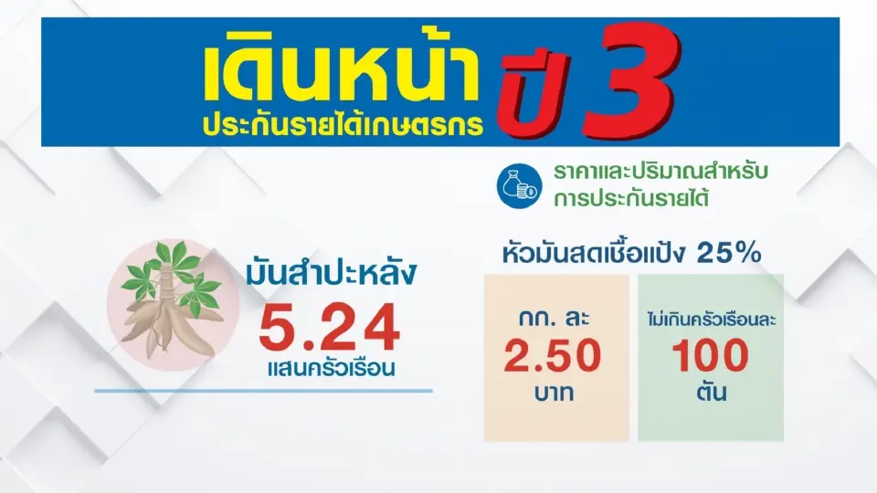 ประกันรายได้มันสำปะหลัง ปี 3