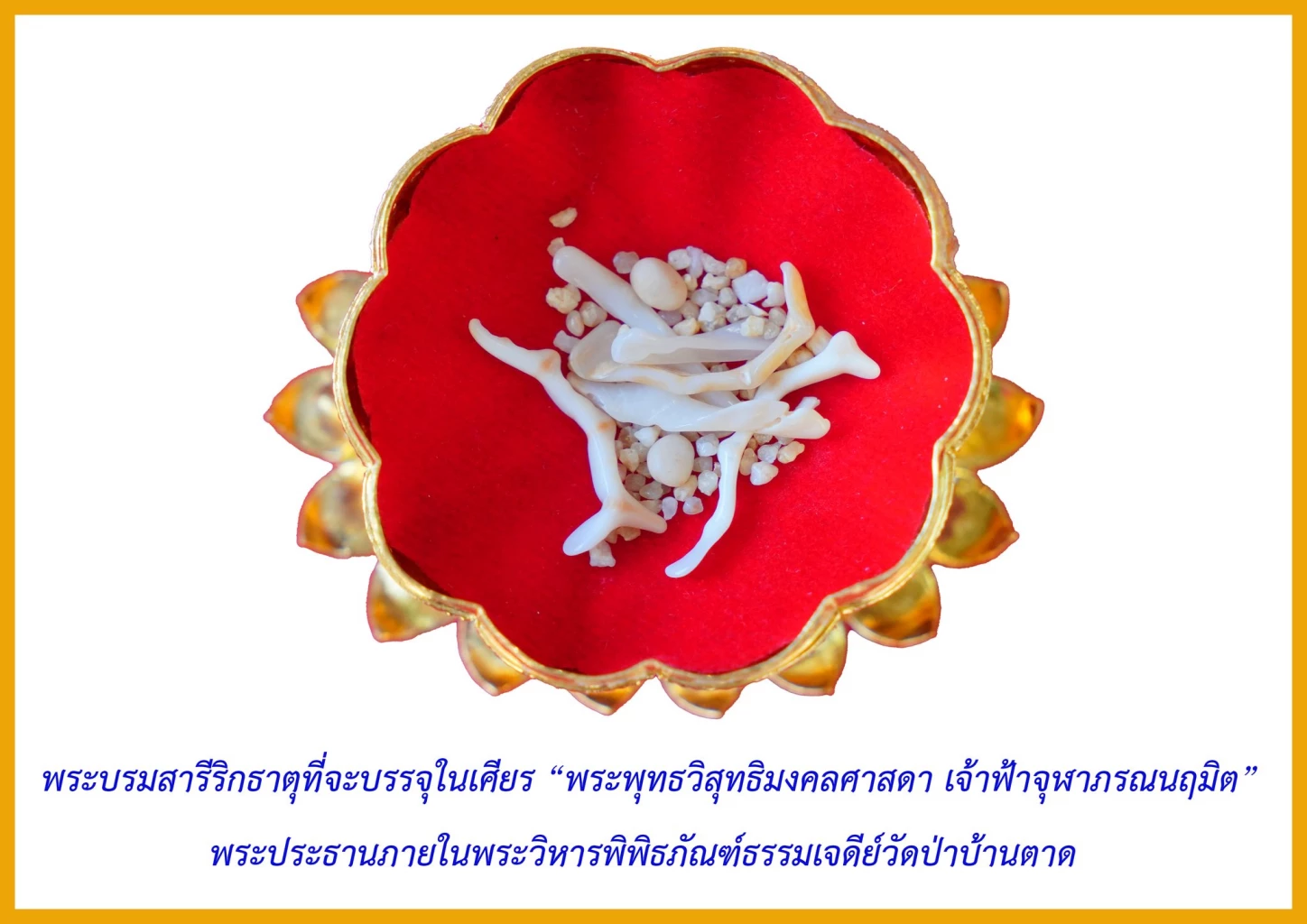 เริ่มแล้วงานฉลองสมโภชพิพิธภัณฑ์ธรรมเจดีย์"หลวงตาพระมหาบัว"&nbsp;