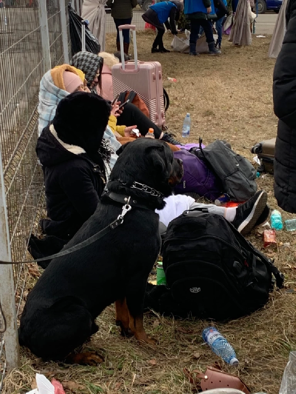 ชาวยูเครนพาสัตว์เลี้ยงที่เป็นสมาชิกในครอบครัวหนีตายสงคราม