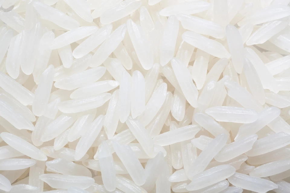 เปิดกลยุทธ์ขายข้าวหอมมะลิไทยในยุโรปตันละ 1.5 แสน ต้องทำอย่างไร?