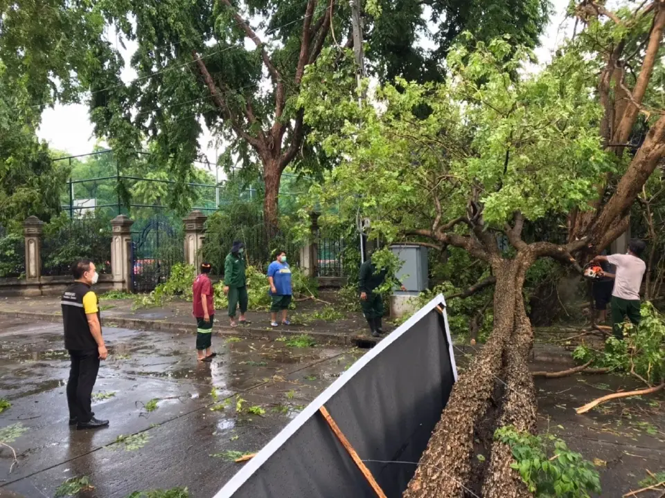 ฝนถล่มหนัก! เขตพระนคร เร่งเคลียร์ต้นไม้โค่นล้ม เปิดทางสัญจร