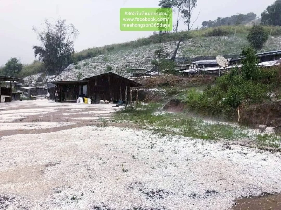 เปิดภาพ "ลูกเห็บ" พายุฤดูร้อน  ถล่มเมืองปาย ขาวโพลนเป็นเมืองหิมะ