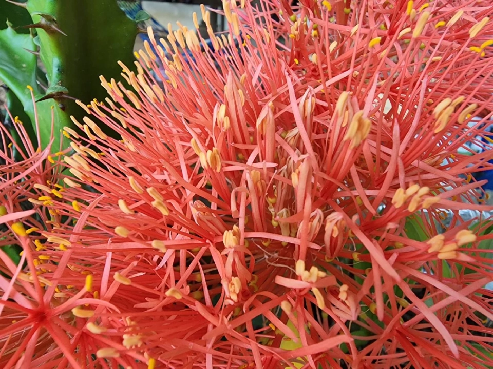 รีวิว Samsung S22 Ultra "เน้นกล้อง" พาไปทำบุญ-ไหว้พระ วันสงกรานต์ 2565