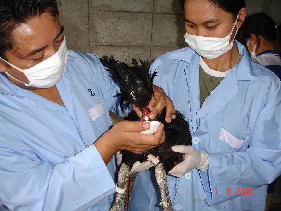 อากาศแปรปรวน