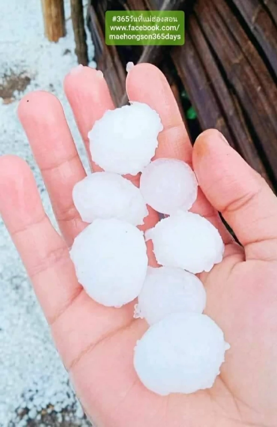 เปิดภาพ "ลูกเห็บ" พายุฤดูร้อน  ถล่มเมืองปาย ขาวโพลนเป็นเมืองหิมะ