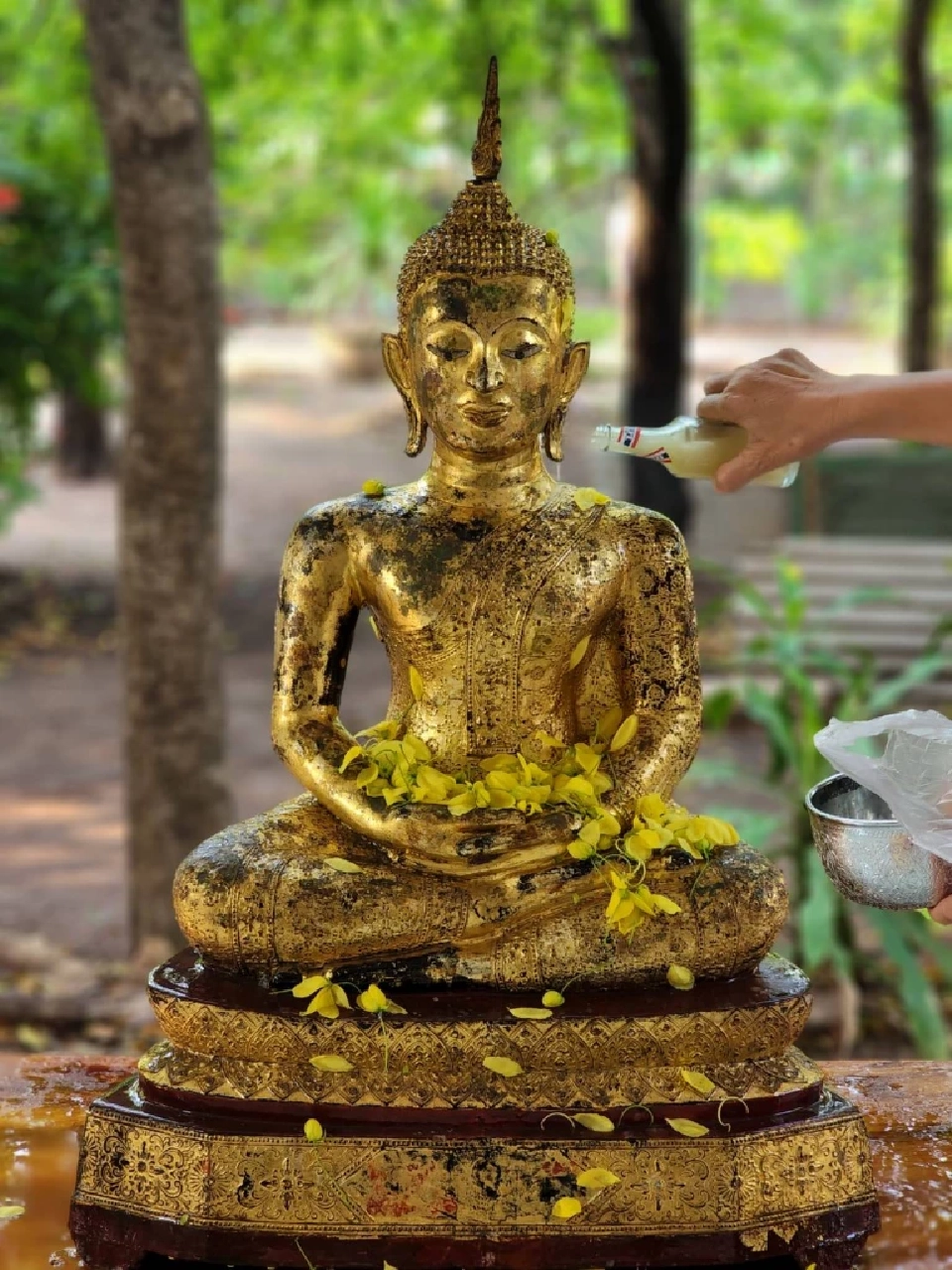 โหมด Potrait ในการสรงน้ำพระ