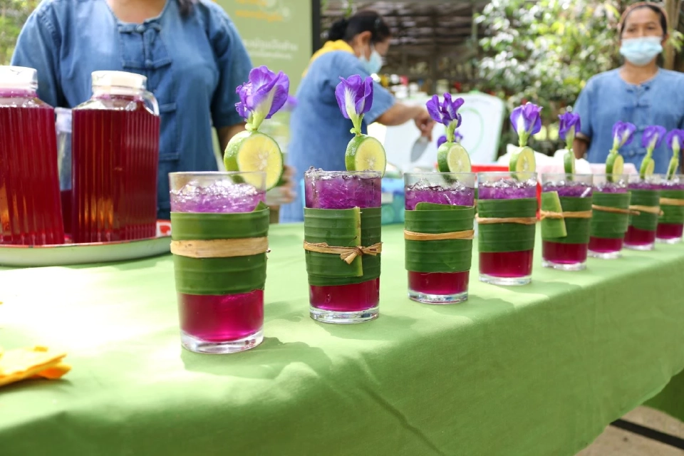 Low Carbon Tourism เทรนด์เที่ยวรักษ์โลก ยุคสังคมปลอดคาร์บอน