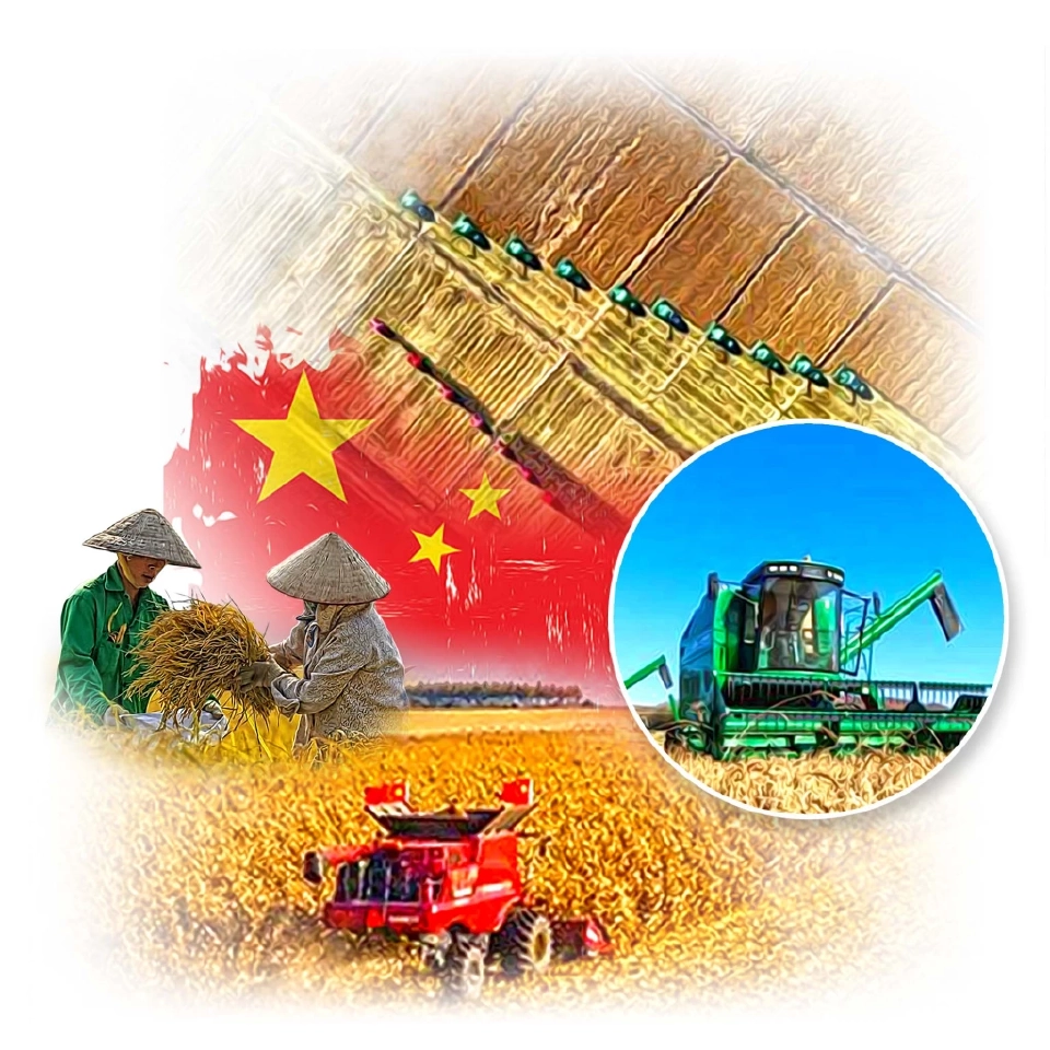 การสร้างความมั่นคงทางธัญญาหารของจีน