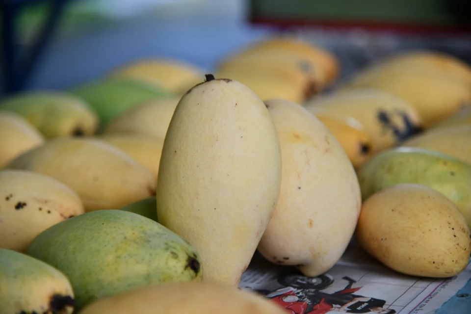 พาณิชย์จัดเทศกาลสินค้าไทยในไต้หวัน  ตอบรับกระแสคิดถึงเมืองไทย