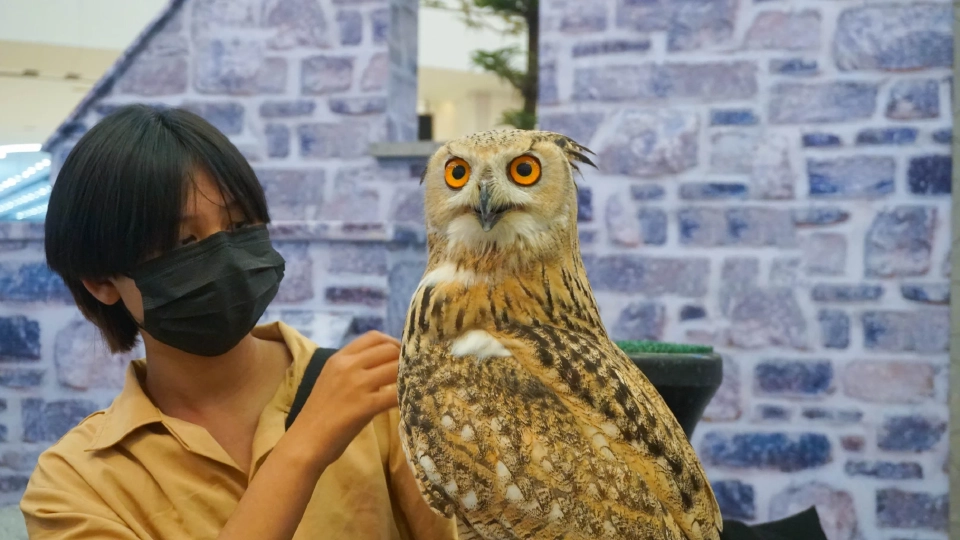 สัตว์แปลก สัตว์ EXOTIC 