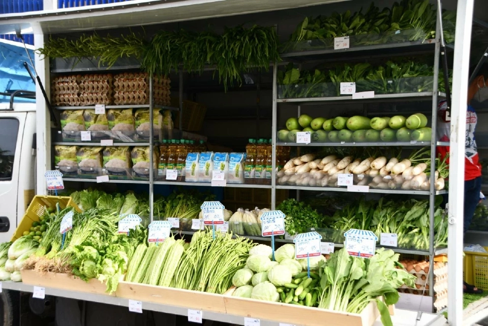 "ผักชี"ราคาวันนี้(26พ.ค.)แรงมากเกือบ200บาทต่อกก.