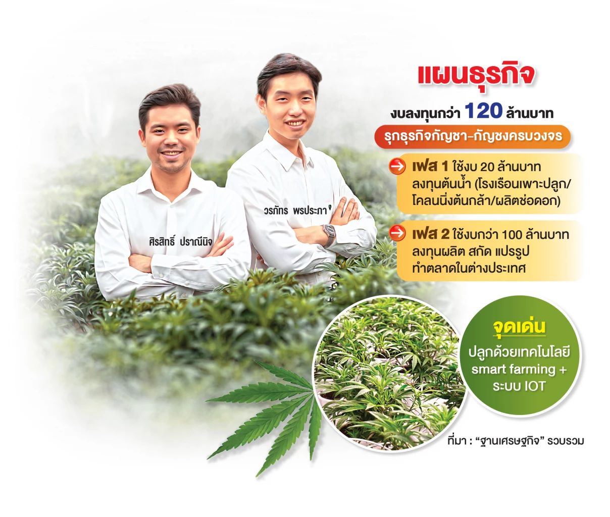 เมดิคาน่า แล็บ