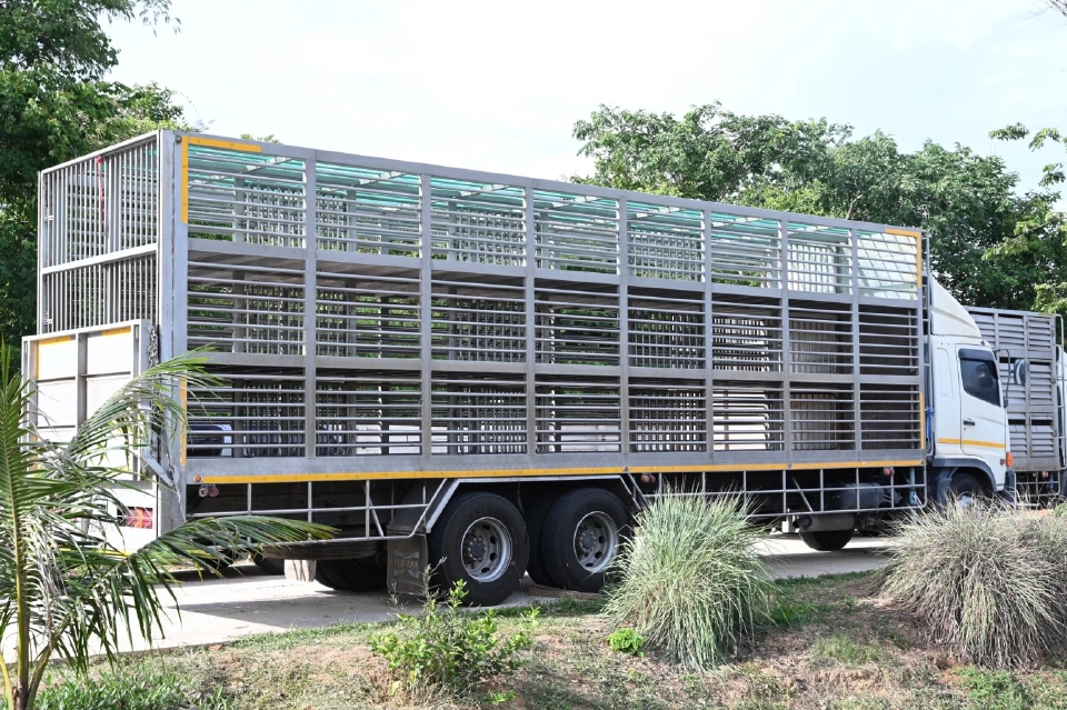 แนะ “เลี้ยงสุกร” ในระบบความปลอดภัยทางชีวภาพ