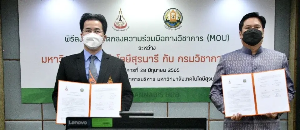 กรมวิชาการเกษตร ลงนาม MOU ม.สุรนารี วิจัยพัฒนากัญชา
