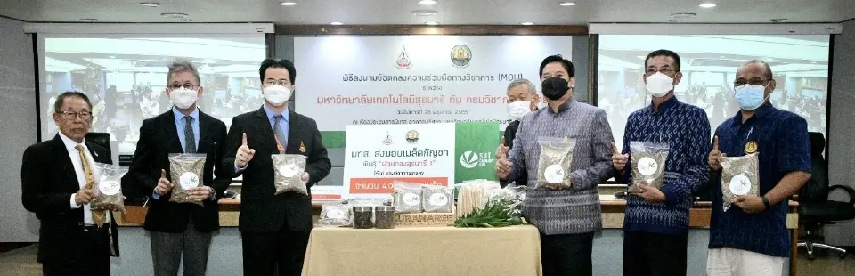 กรมวิชาการเกษตร ลงนาม MOU ม.สุรนารี วิจัยพัฒนากัญชา