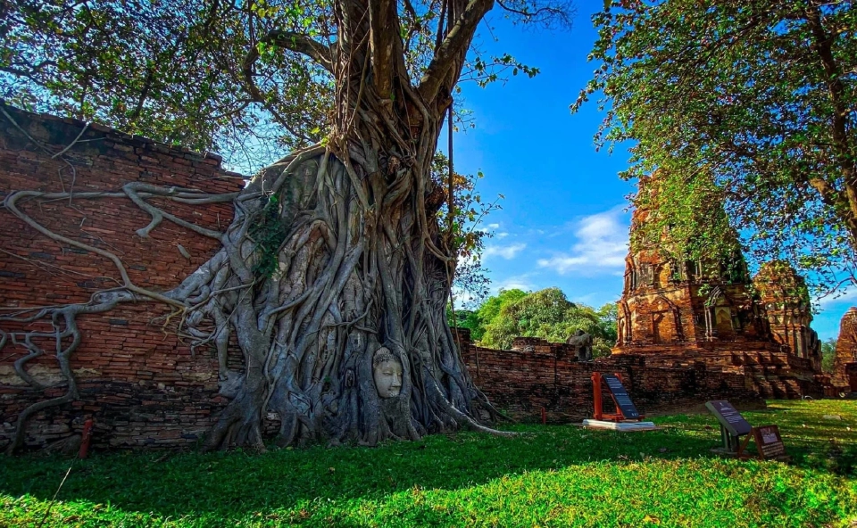 "อยุธยา"กลับมาแล้ว คณะผู้นำสตรีโลก-ทูตนานาชาติ ต่อคิวมาเยือนไม่ขาดสาย