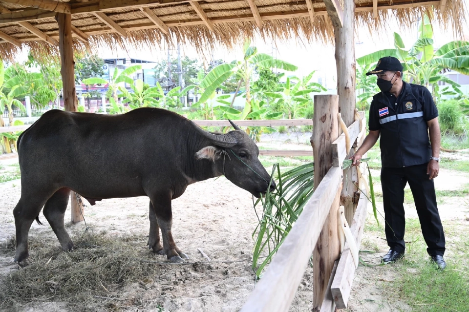 “อธิบดีกรมปศุสัตว์” ลงพื้นเขต2 ติดตามงานนโยบายกรมปศุสัตว์