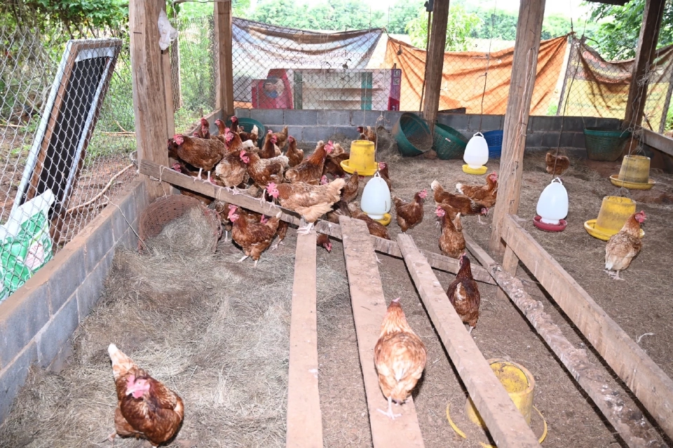 “อธิบดีกรมปศุสัตว์” ลงพื้นสร้างขวัญกำลังใจพร้อมติดตามนโยบาย