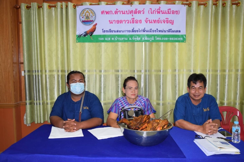 “ไก่พื้นเมือง” สัตว์เศรษฐกิจใกล้ตัว สร้างอาชีพ-รายได้มั่นคง