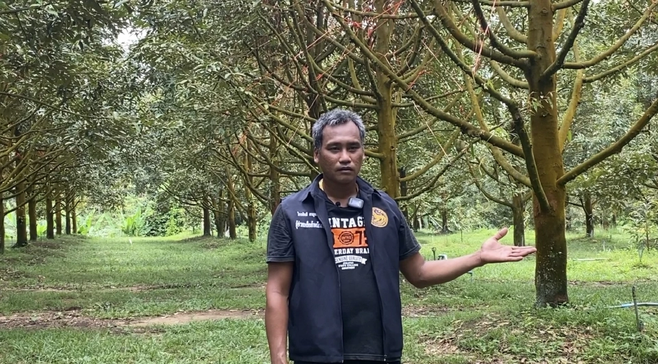 "น้ำ" จาก "โครงการพระราชดำริ" ช่วยชีวิตชาวสวนผลไม้เมืองจันท์