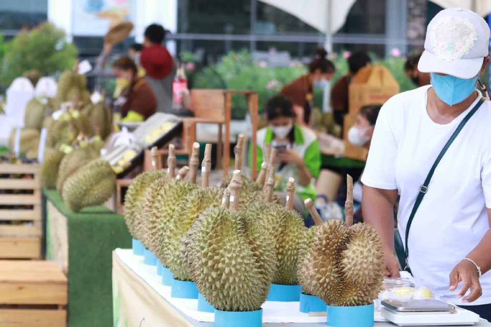 โค้งท้าย “บุฟเฟ่ต์ทุเรียน” @ บลูพอร์ต หัวหิน กินไม่อั้น 499 บาท