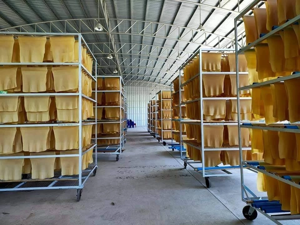 ชาวสวนยางแค้น แก๊งยางลักลอบทุบราคาร่วง