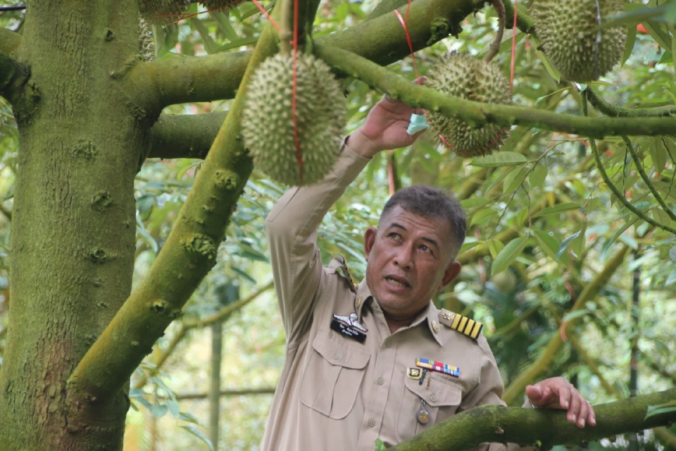 ความภูมิใจเกษตรกร "โครงการพระราชดำริ" หลุดพ้นจากความทุกข์ยาก 