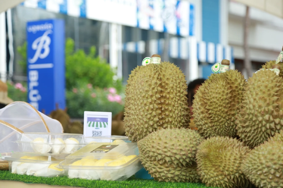 โค้งท้าย “บุฟเฟ่ต์ทุเรียน” @ บลูพอร์ต หัวหิน กินไม่อั้น 499 บาท