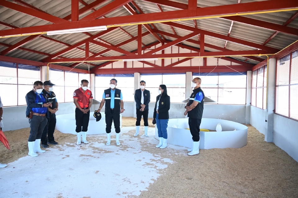 กรมปศุสัตว์ลุยแจกหญ้าอาหารสัตว์เมืองคอน  ตั้ง 670 คลังเสบียงรับภัยพิบัติ