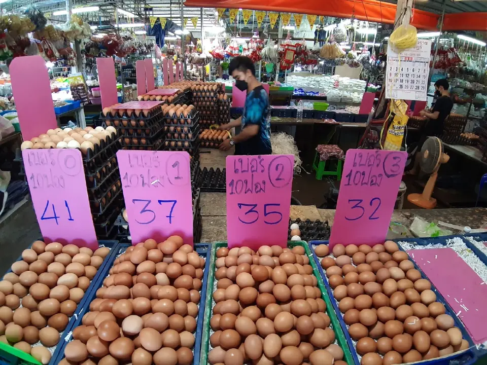  “ไข่ไก่-เนื้อไก่” วันนี้(13 ส.ค.)ราคากี่บาท เช็คเลย
