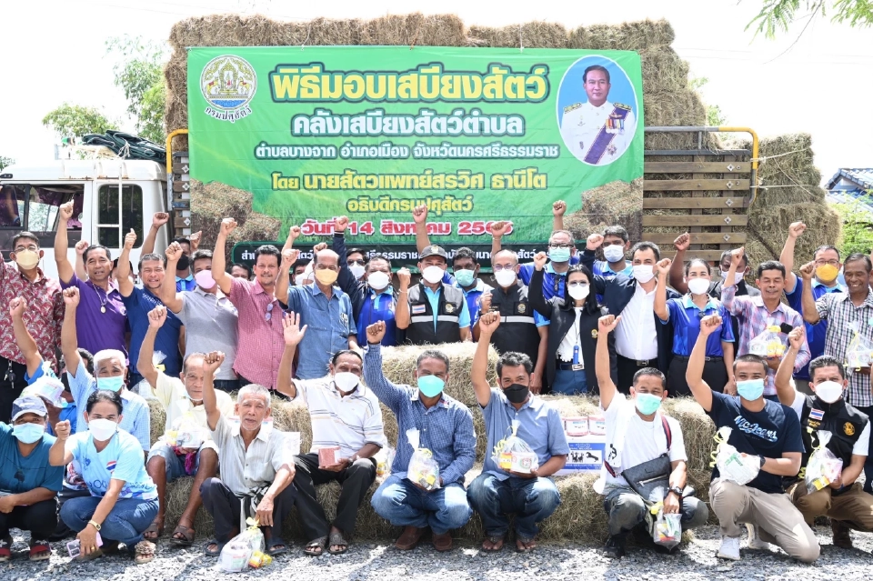 กรมปศุสัตว์ลุยแจกหญ้าอาหารสัตว์เมืองคอน  ตั้ง 670 คลังเสบียงรับภัยพิบัติ