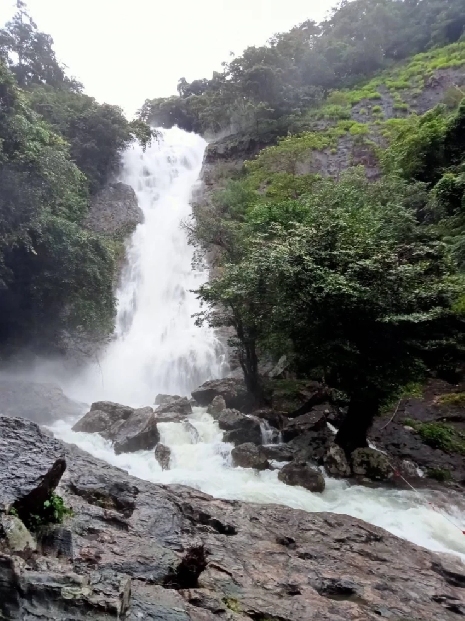 น้ำตกสาริกา