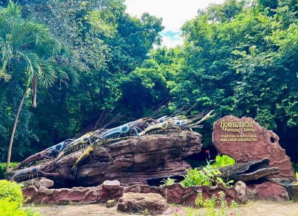 1 ปีมีครั้งเดียว ปรากฏการณ์ “กุ้งเดินขบวน” เดือนก.ย.นี้