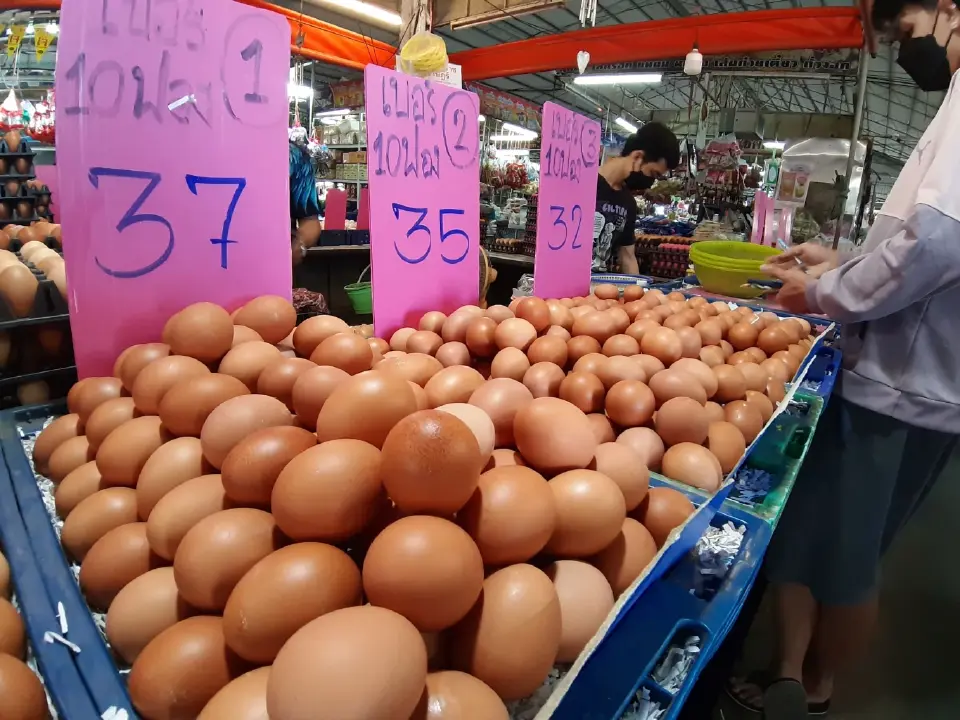  “ไข่ไก่” วันนี้(22 ส.ค.)ราคาฟองละเท่าไหร่ เช็คเลย