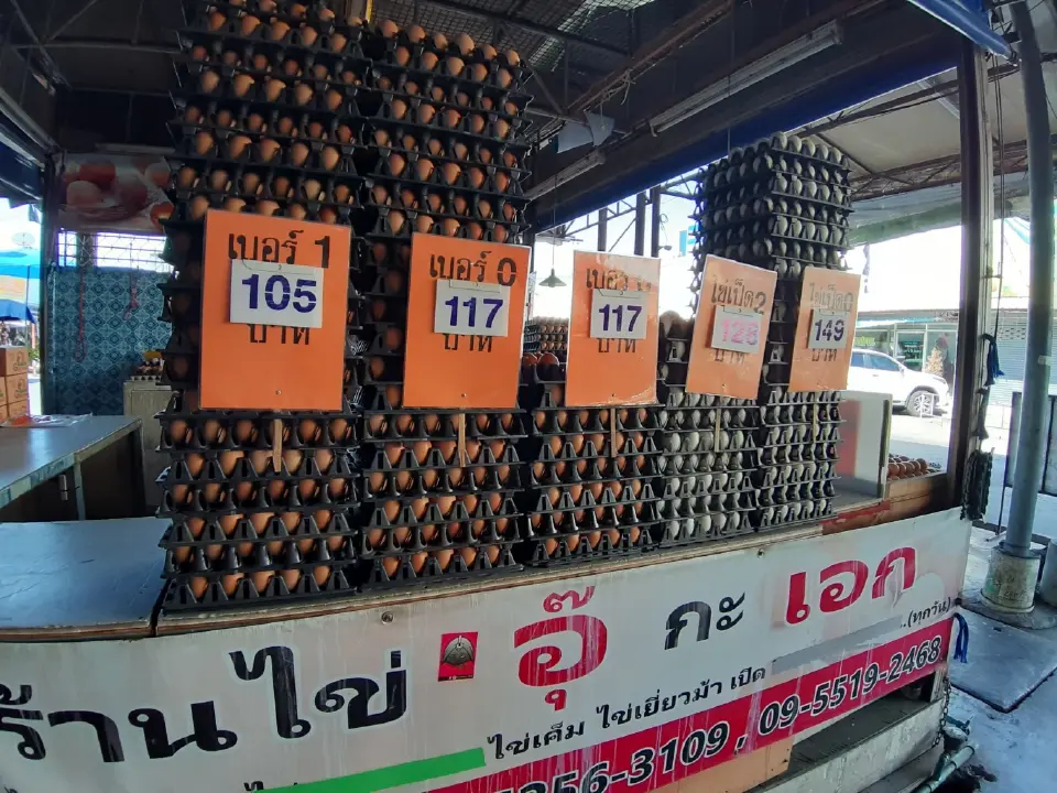  “ไข่ไก่-เนื้อไก่” วันนี้(10 ส.ค.)ราคากี่บาท เช็คเลย