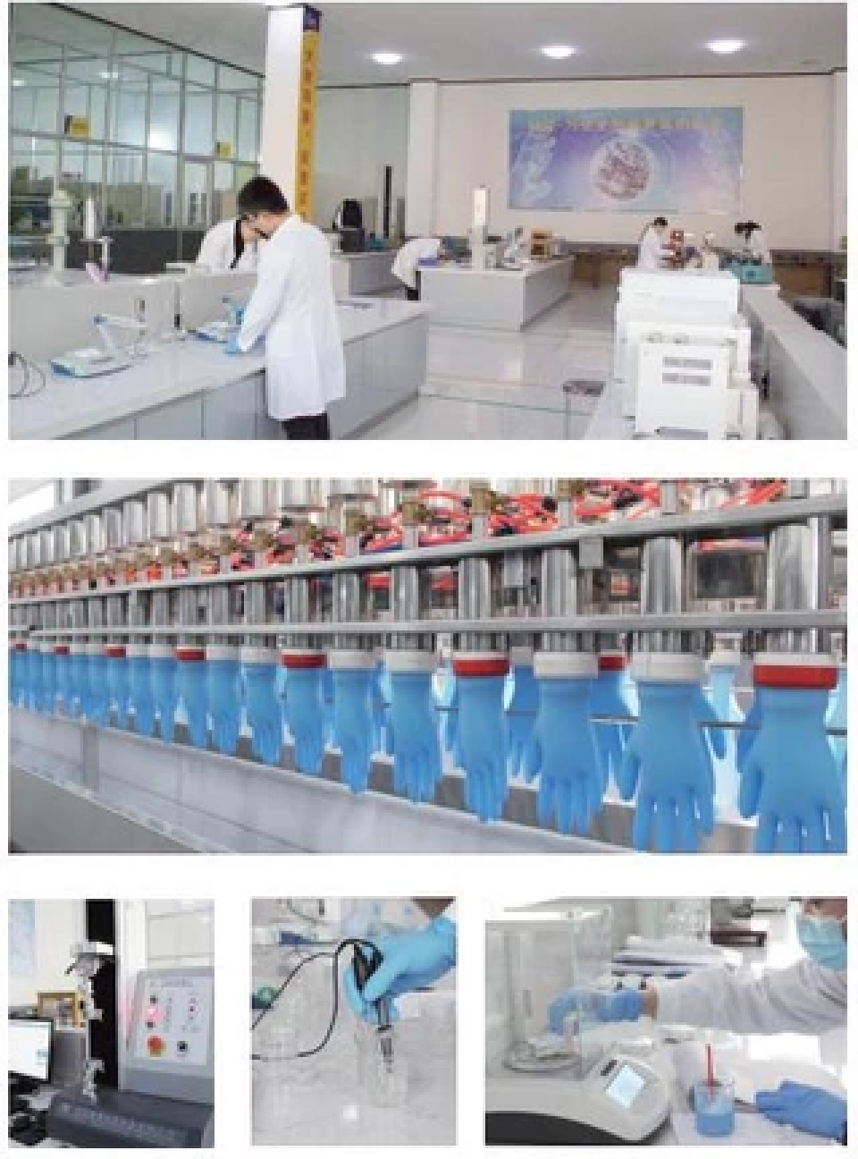 “สกายเมด” รีแบรนด์สินค้า เดินหน้ารุกถุงมือการแพทย์-พืชเกษตร-สมุนไพร