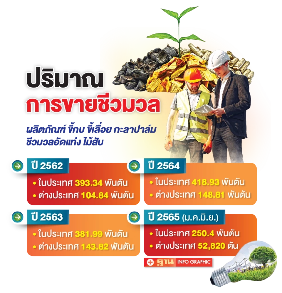 ABM เพิ่มทุน 270 ล้าน ขยายผลิตไม้สับยูคาฯ รับเชื้อเพลิงชีวมวลโต