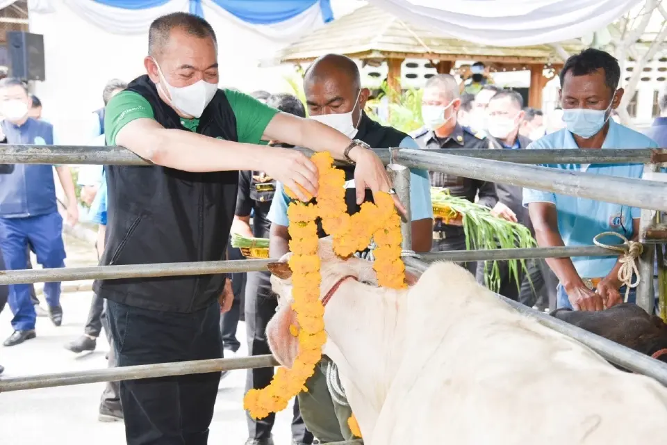 รัฐมนตรีเกษตรฯไถ่ชีวิตโค-กระบือ เฉลิมพระเกียรติพระบรมราชชนนีพันปีหลวง