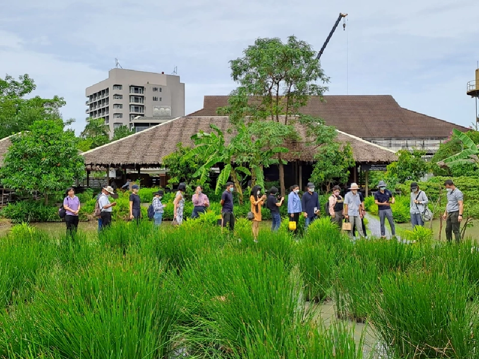 สมาคมผู้บริโภคอินทรีย์ไทย เปิด TOCA Platform ขับเคลื่อนสังคมอินทรีย์