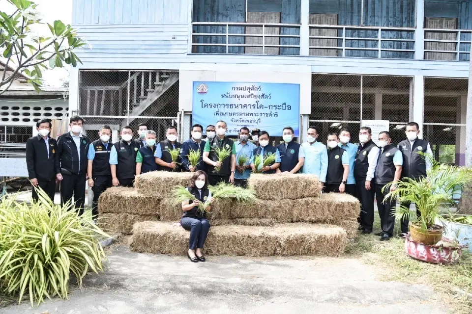 รัฐมนตรีเกษตรฯไถ่ชีวิตโค-กระบือ เฉลิมพระเกียรติพระบรมราชชนนีพันปีหลวง
